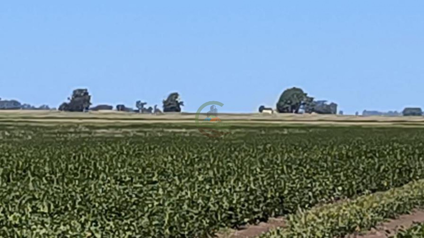 248 Ha Agricolas - Tedin Uriburu - Benito Juarez