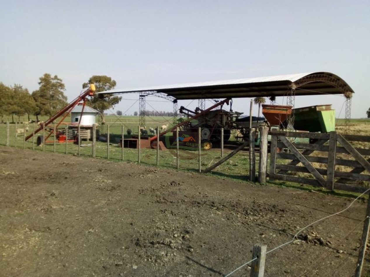 242 Ha - Mixto - Mechongue