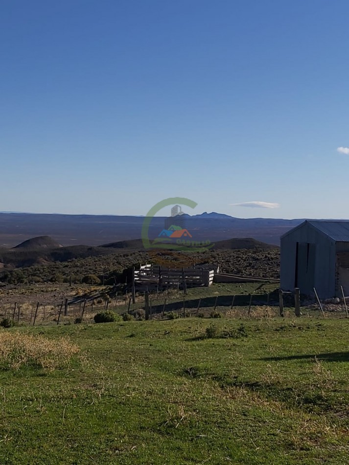 50000 ha Ganadero - Santa Cruz