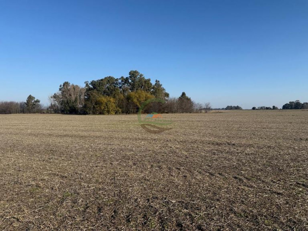 50 Ha Agricolas - Herrera Vegas