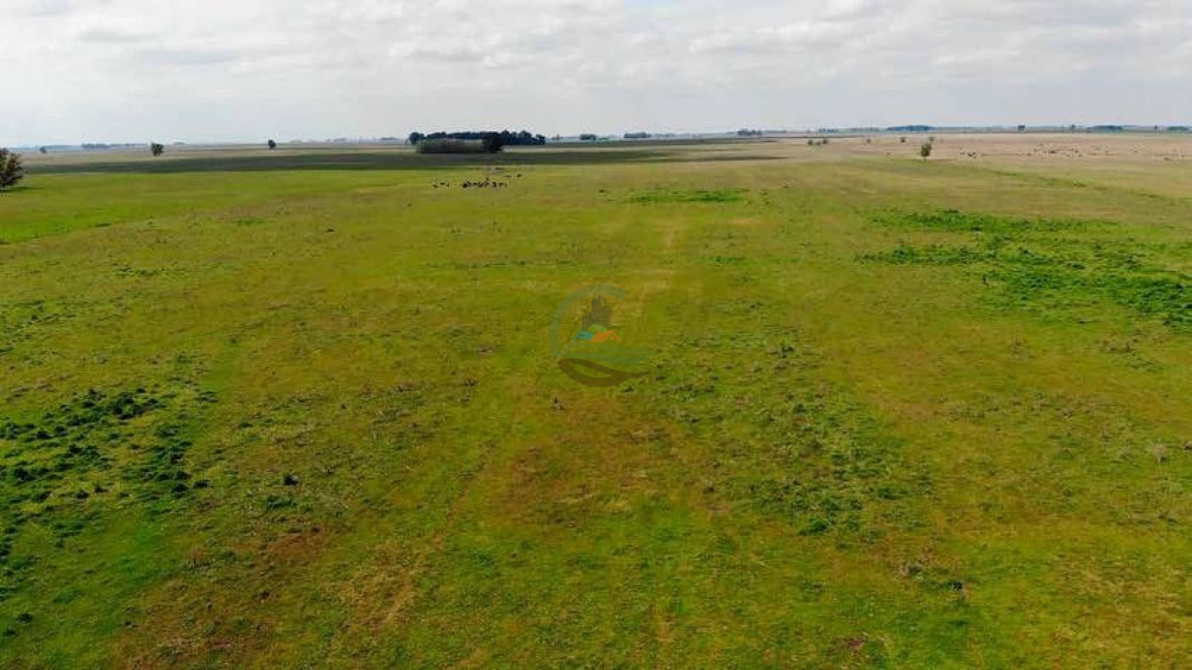 265 Ha Ganadero - Harosteguy - Las Flores