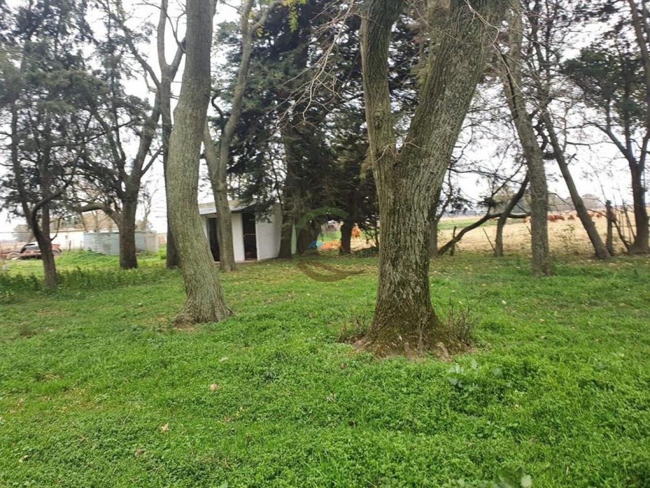 175 Ha Mixtas - Abasto - La Plata