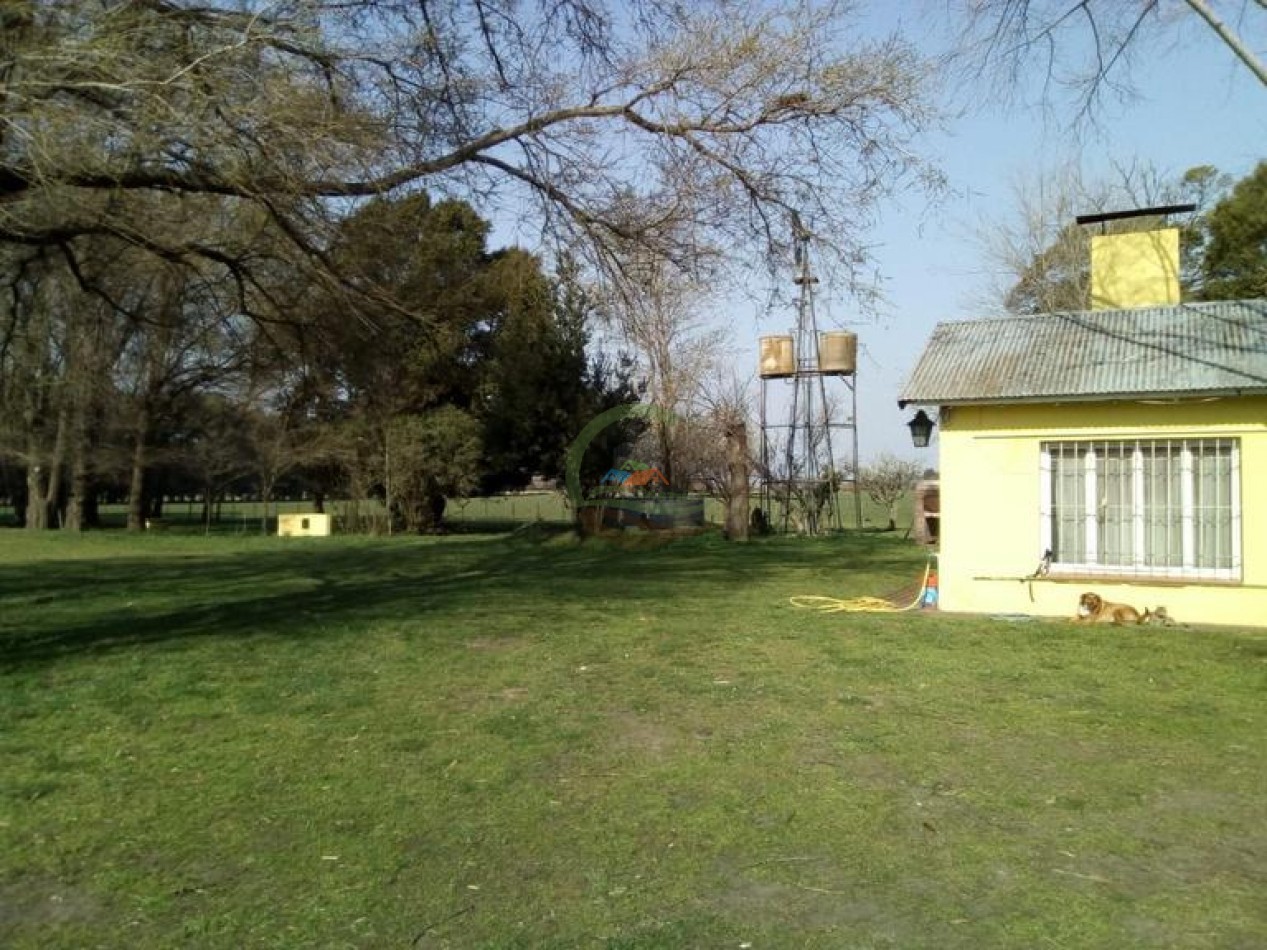 242 Ha - Mixto - Mechongue