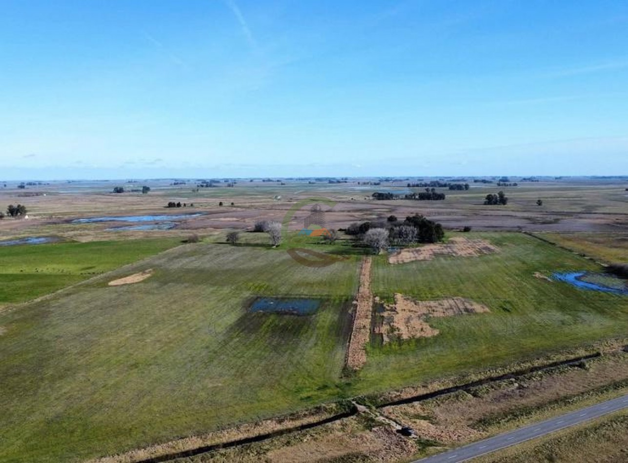 39 Ha Agricolas - Saladillo
