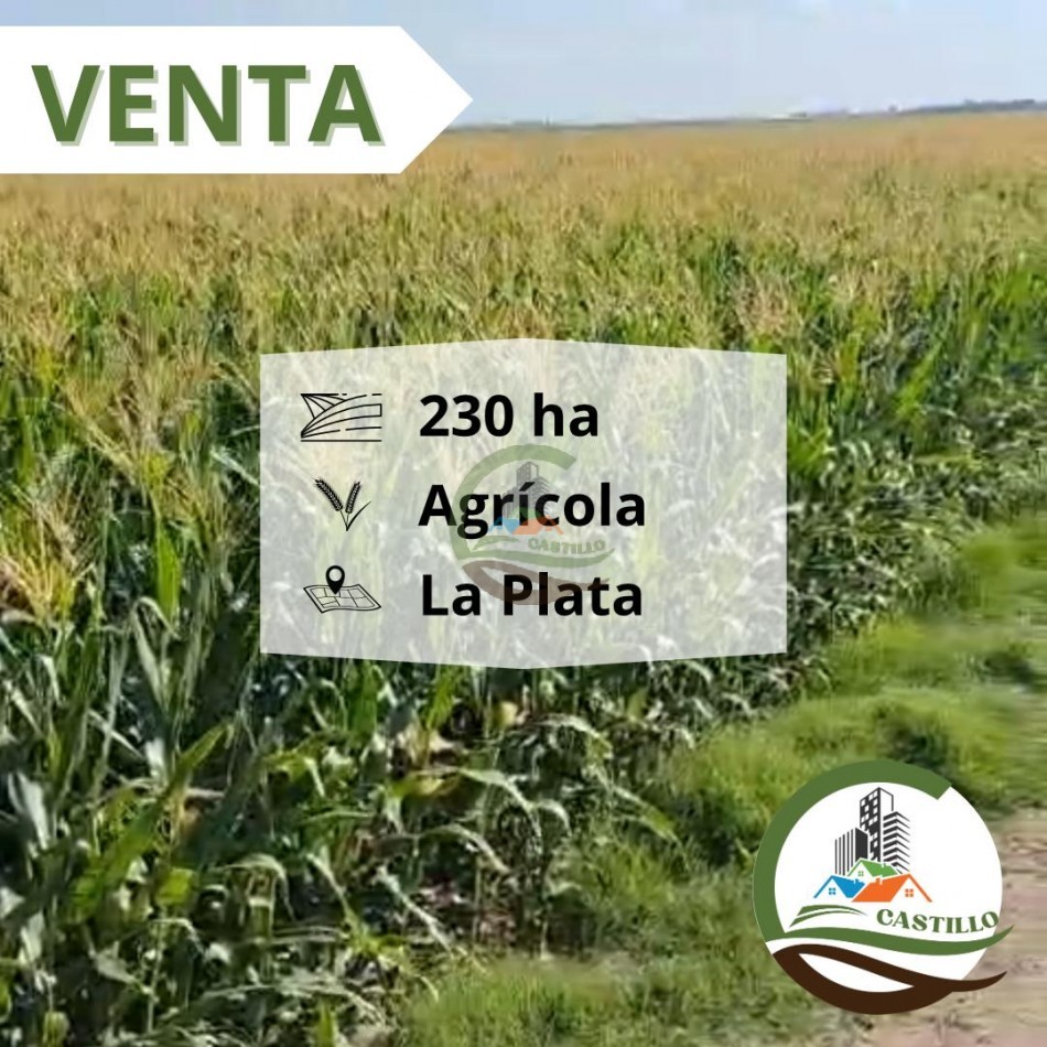 232 Ha Agricolas - Varela