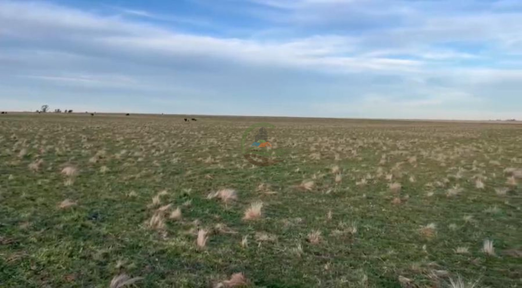 285 Ha Mixto - Naposta - Bahia Blanca