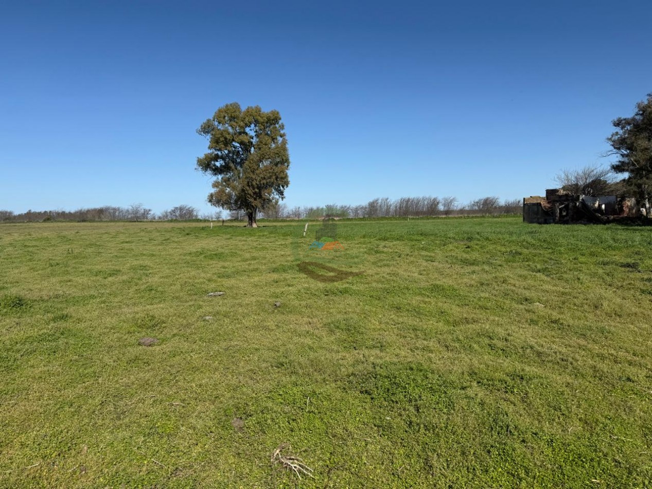 36 Ha Agricolas - Henderson