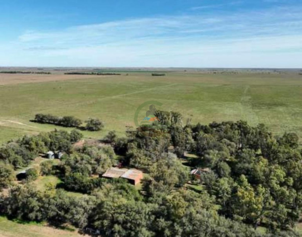 3780 Ha Mixto - Alpachiri - Guatrache - La Pampa