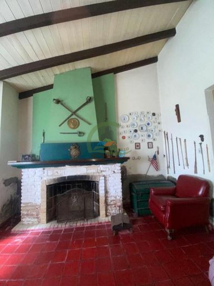 907 Ha Ganadero - Espigas - Olavarria