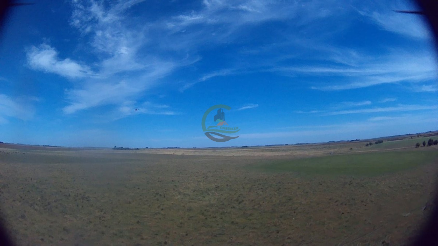 302 Ha Ganadero - Comandante Giribone - Chascomus