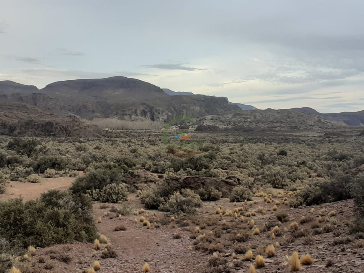 59000 ha Ganadero - Chubut