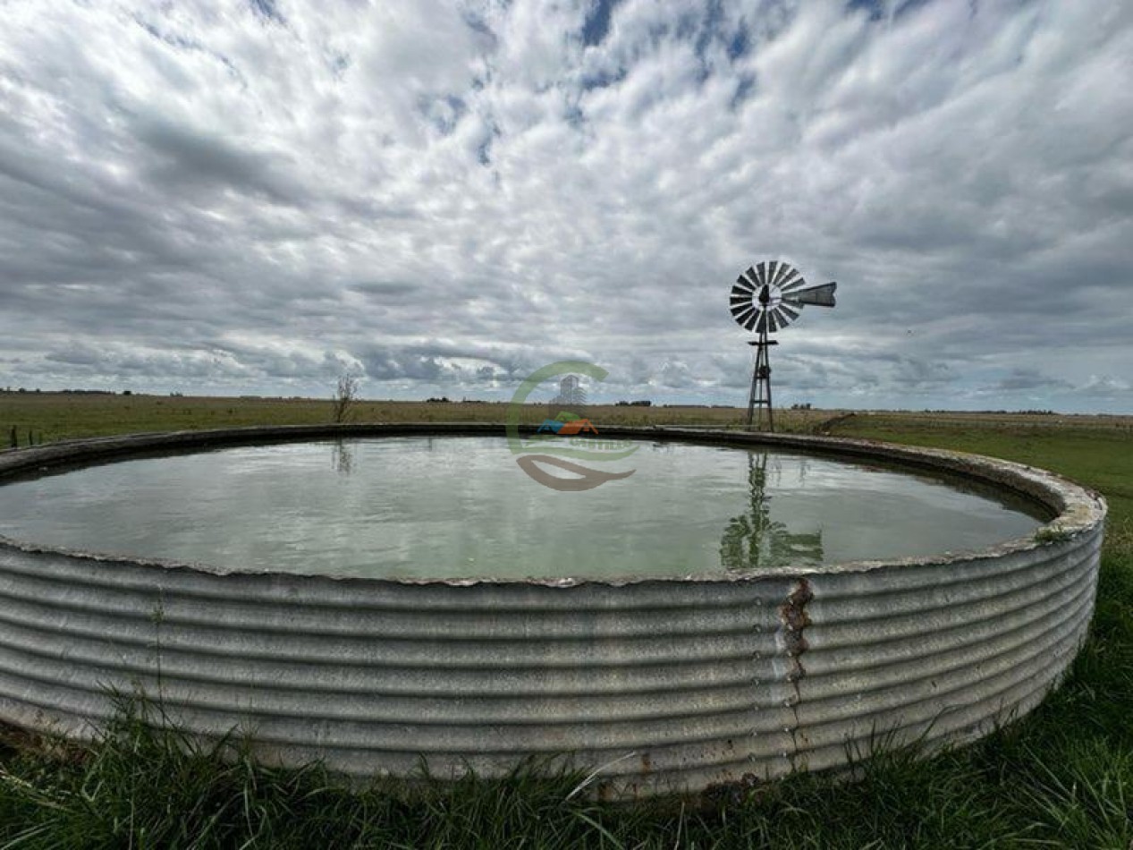 333 Ha Mixto - Balcarce