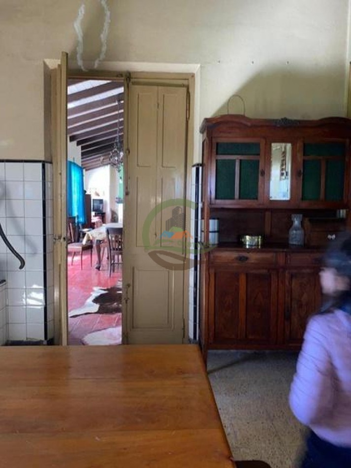 907 Ha Ganadero - Espigas - Olavarria