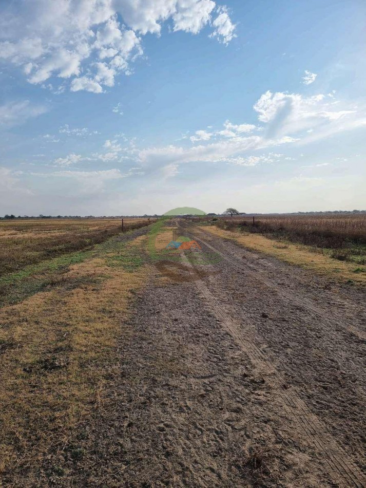 400 Ha Ganaderas - Gregoria Perez de Denis - Santa Fe