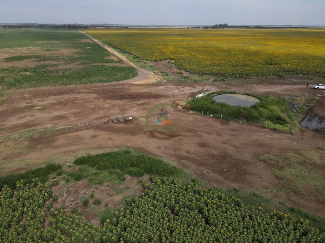 1020 Ha Mixto - Realico - La Pampa