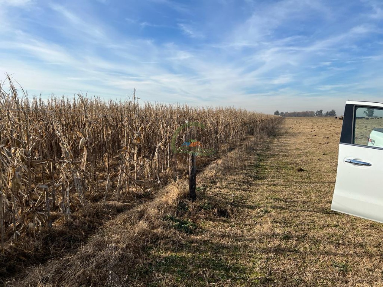 377 Ha Agricolas - San Miguel del Monte 