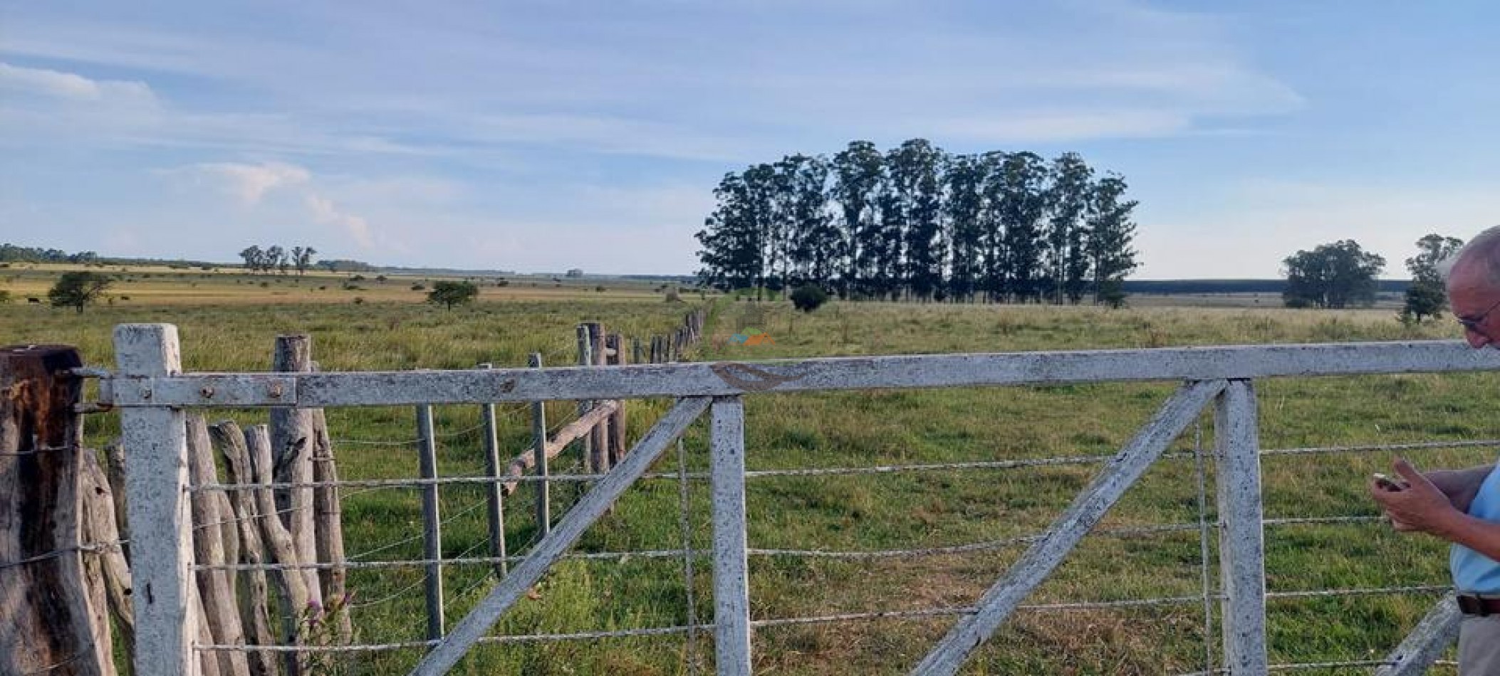 218 Ha Ganadero - Chajari - Entre Rios