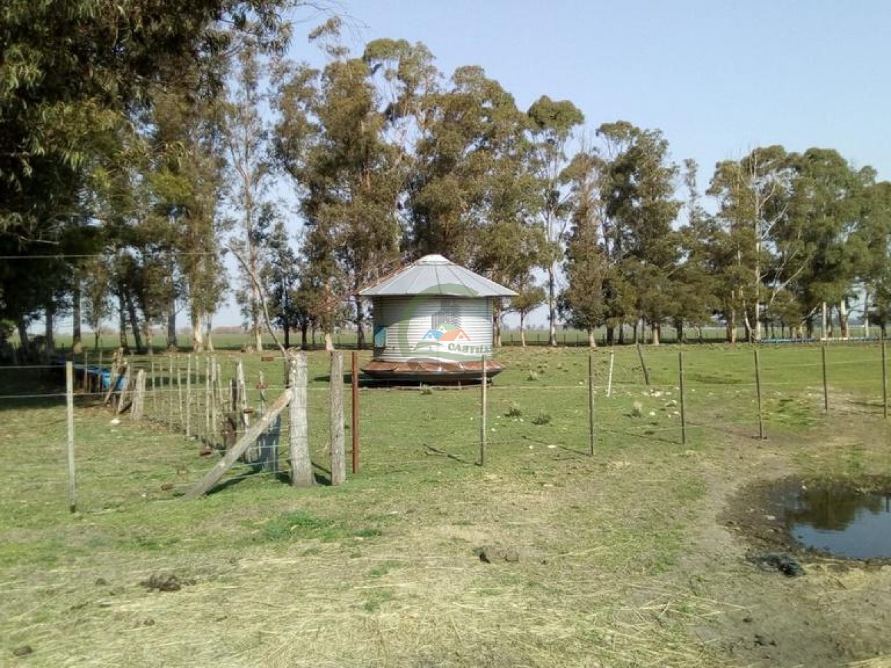 242 Ha - Mixto - Mechongue