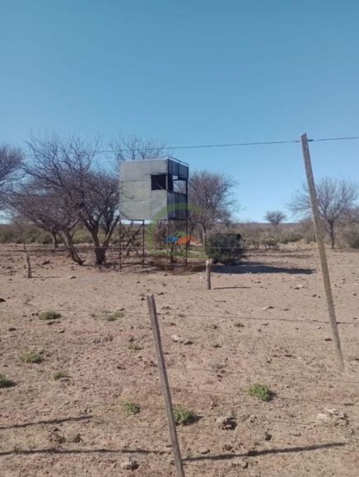 2500 Ha Ganadero - Coto de Caza - Colonia Devoto - La Pampa