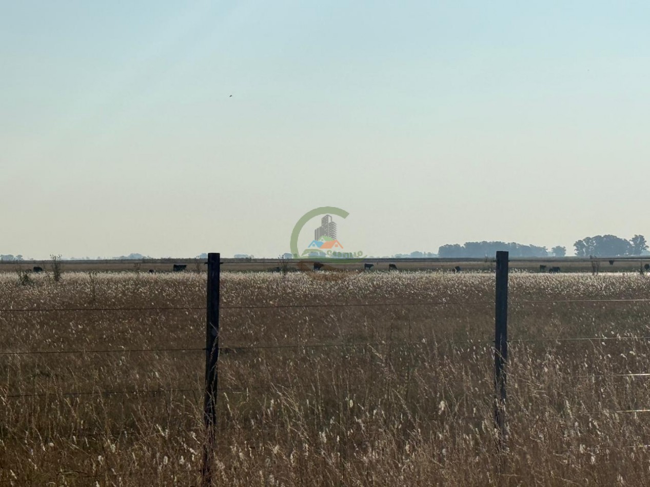 1698 ha Mixto - Paula - Bolivar