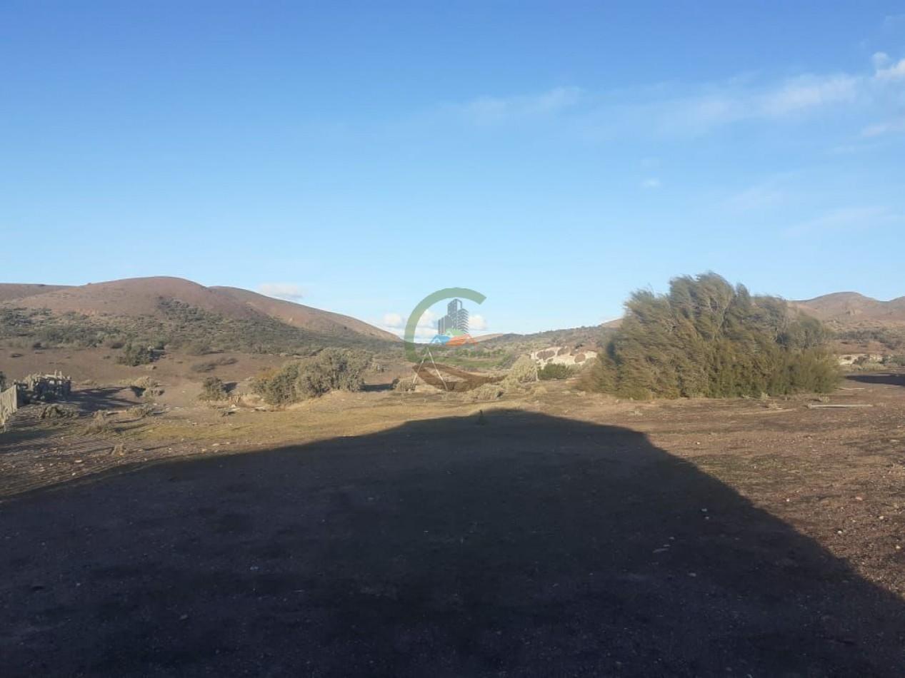 59000 ha Ganadero - Chubut