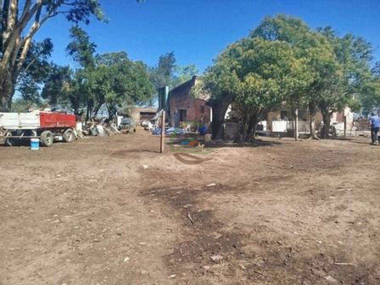 43 Ha mixto - Olavarria