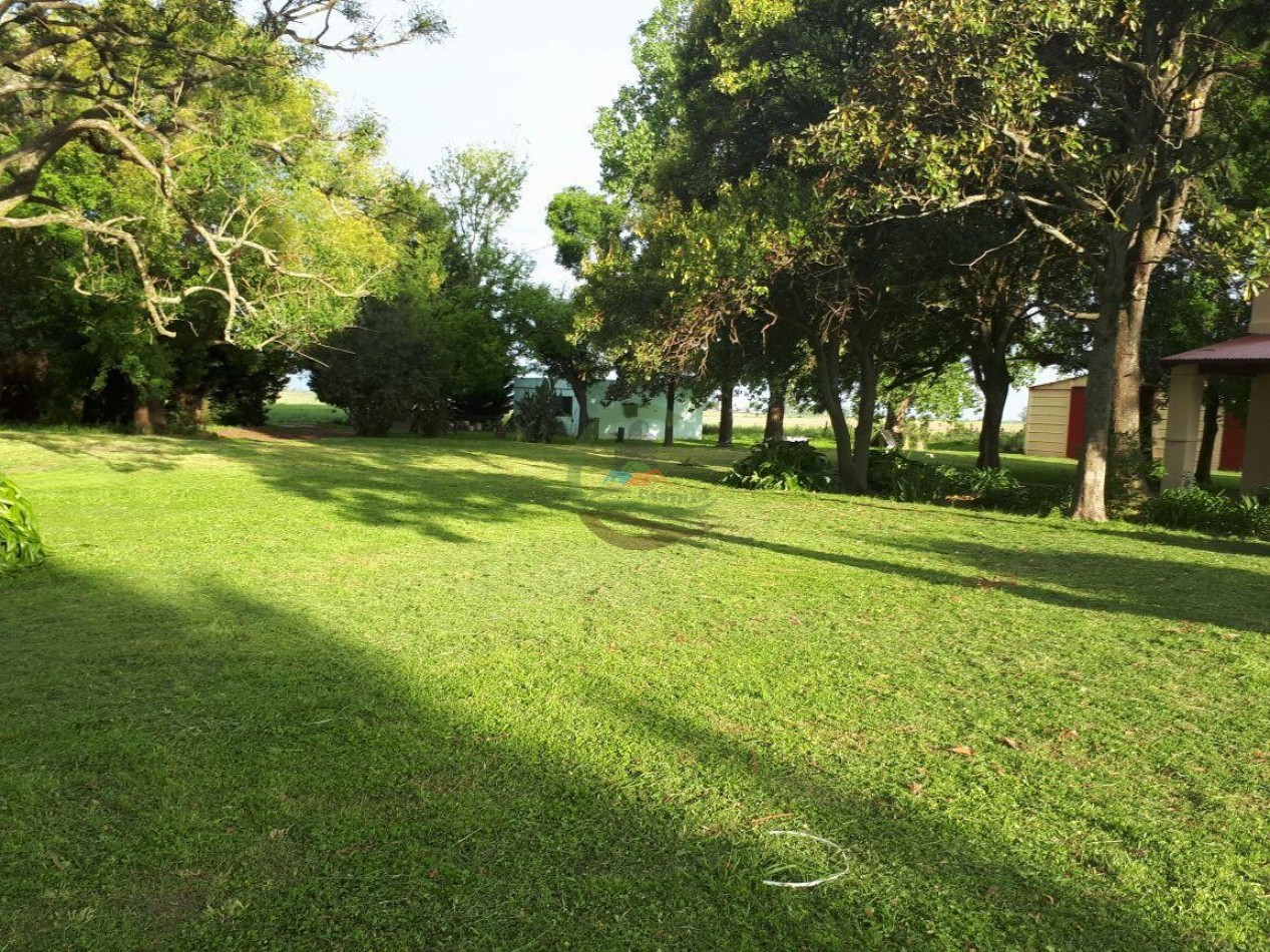 30 ha Agricolas - Pergamino