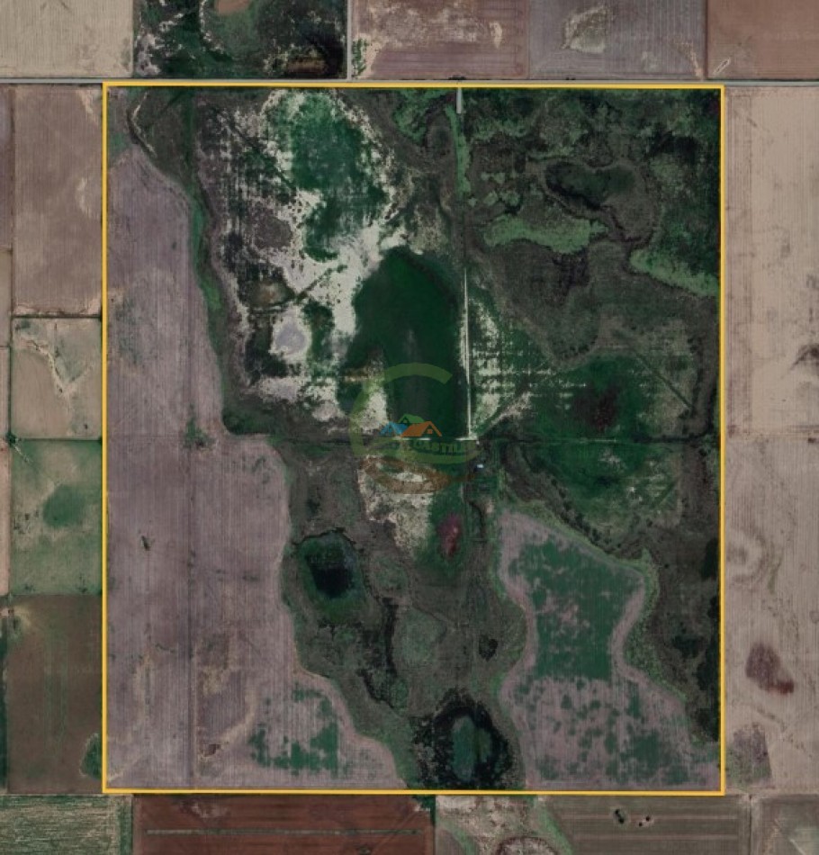350 Ha Mixtas - Coronel Hilario Lagos - La Pampa