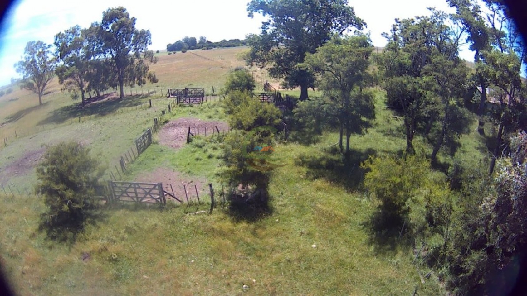 302 Ha Ganadero - Comandante Giribone - Chascomus