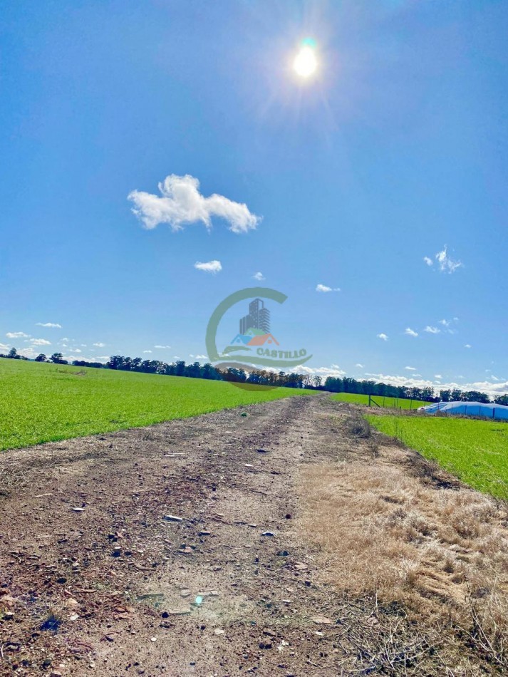 431 Ha Agricolas - De la Canal - Tandil