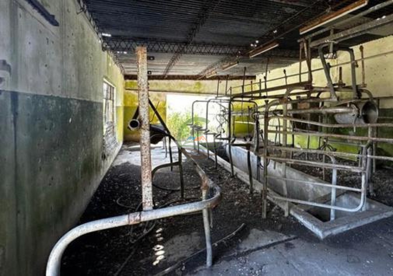 401 Ha Mixto - Lezama