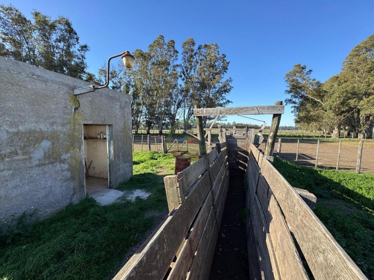 809 Ha Agricolas - Coronel Dorrego