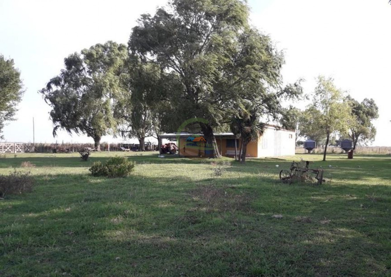 132 Ha Mixto - Magdalena