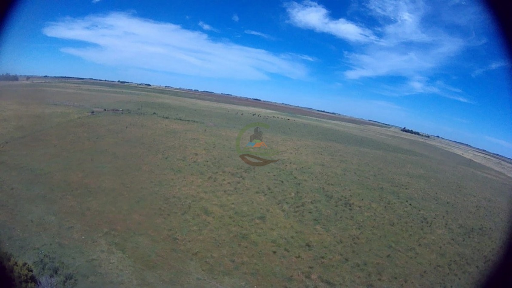 302 Ha Ganadero - Comandante Giribone - Chascomus