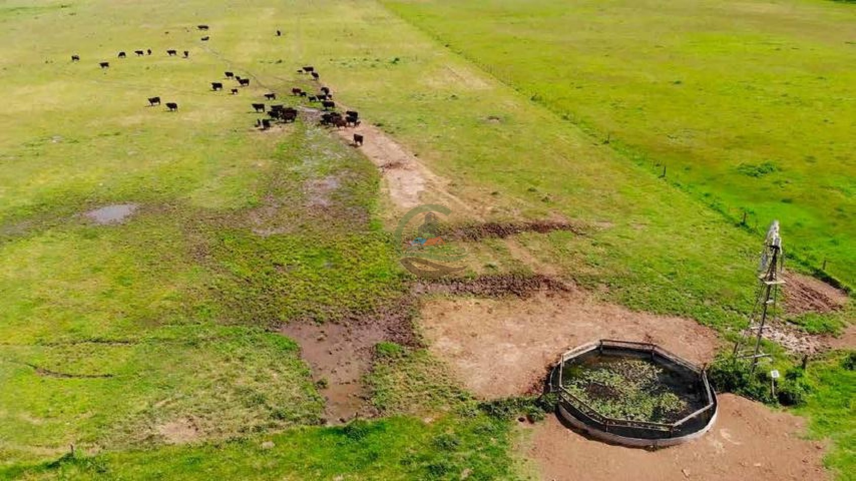 265 Ha Ganadero - Harosteguy - Las Flores