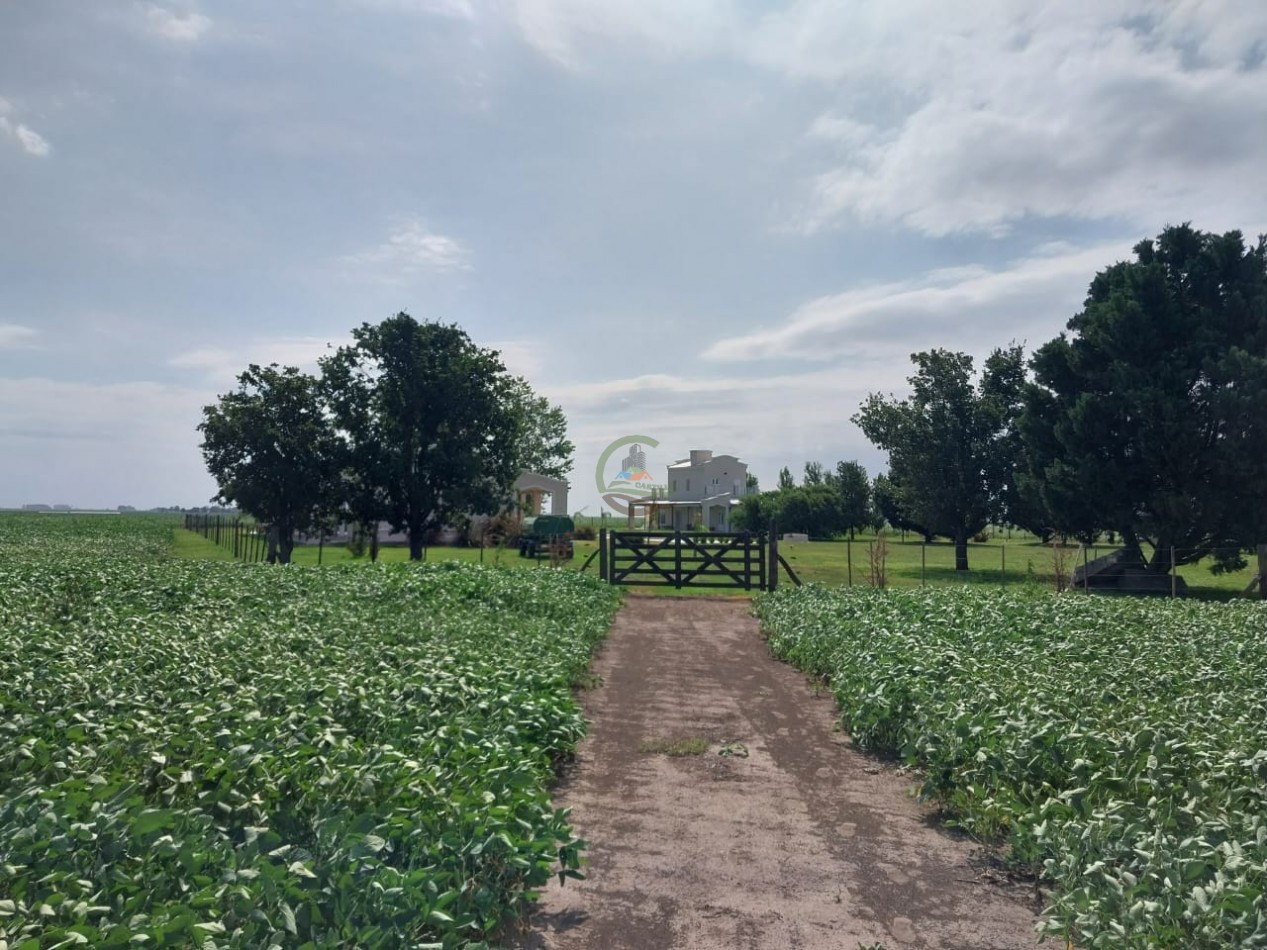 515 ha MIxtas - Pergamino