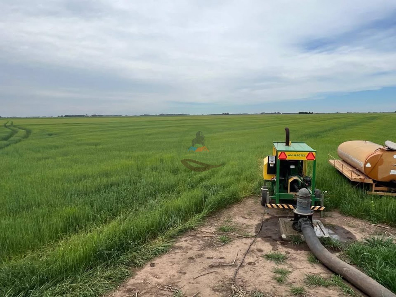 865 Ha Agricolas - Pasman - Coronel Suarez