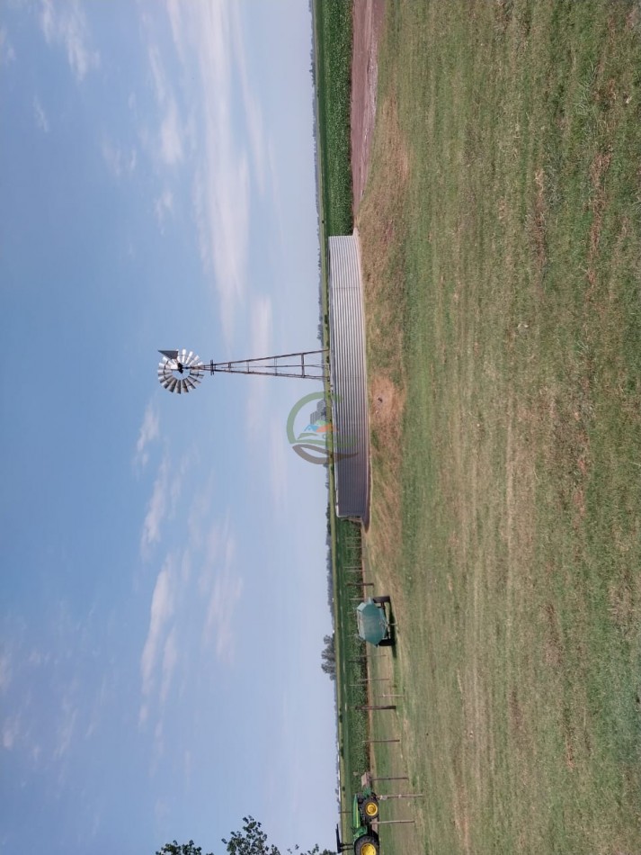 515 ha MIxtas - Pergamino