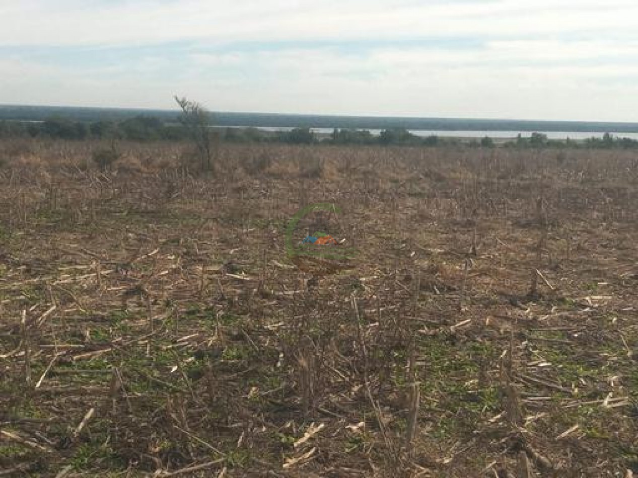 2340 Ha Mixto - La Paz - Entre Rios