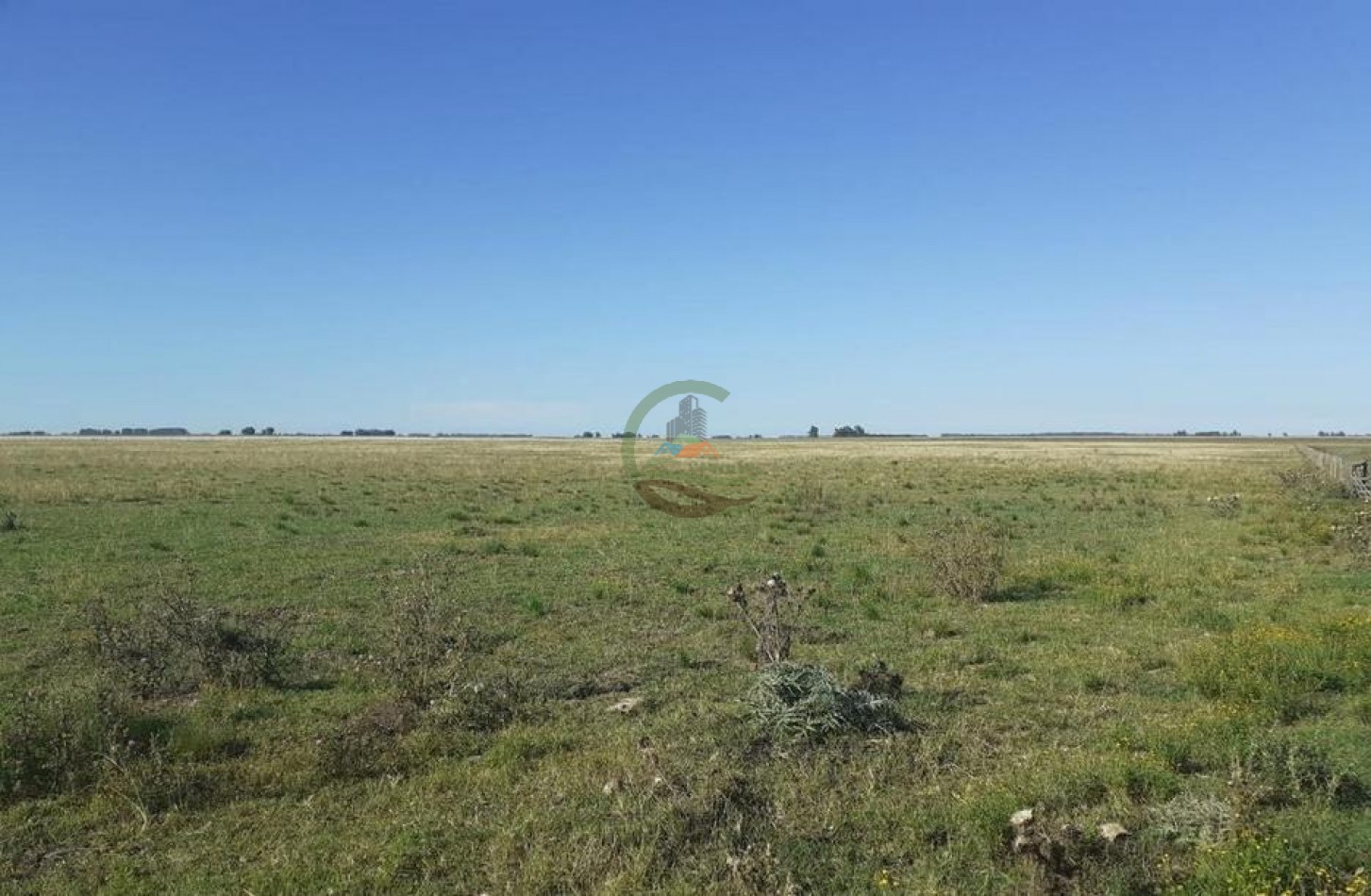 338 Ha Mixto - San Cayetano 