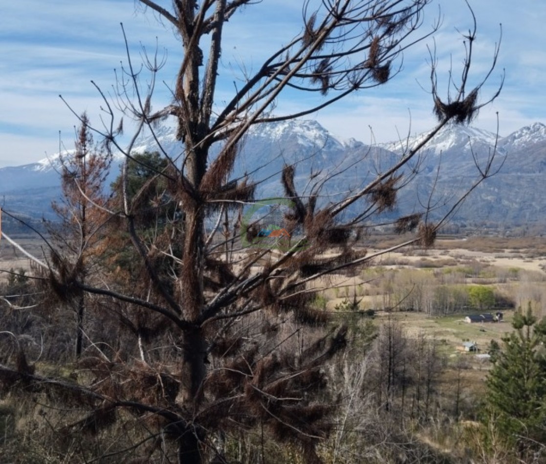 2 Ha Desarrollo - Rincon de Currumahuida - Chubut
