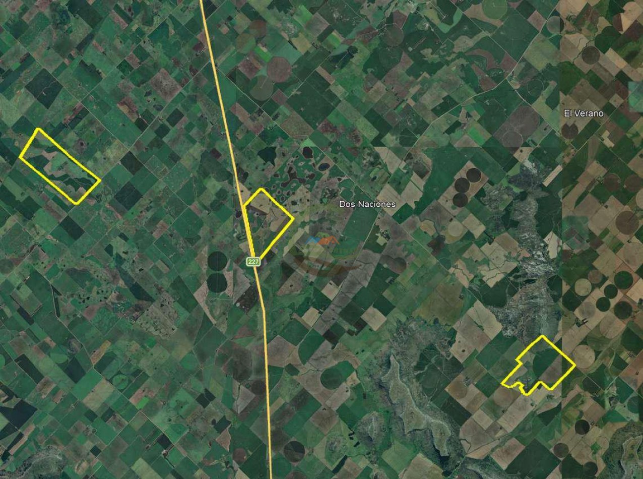 2057 Ha Mixto - Loberia
