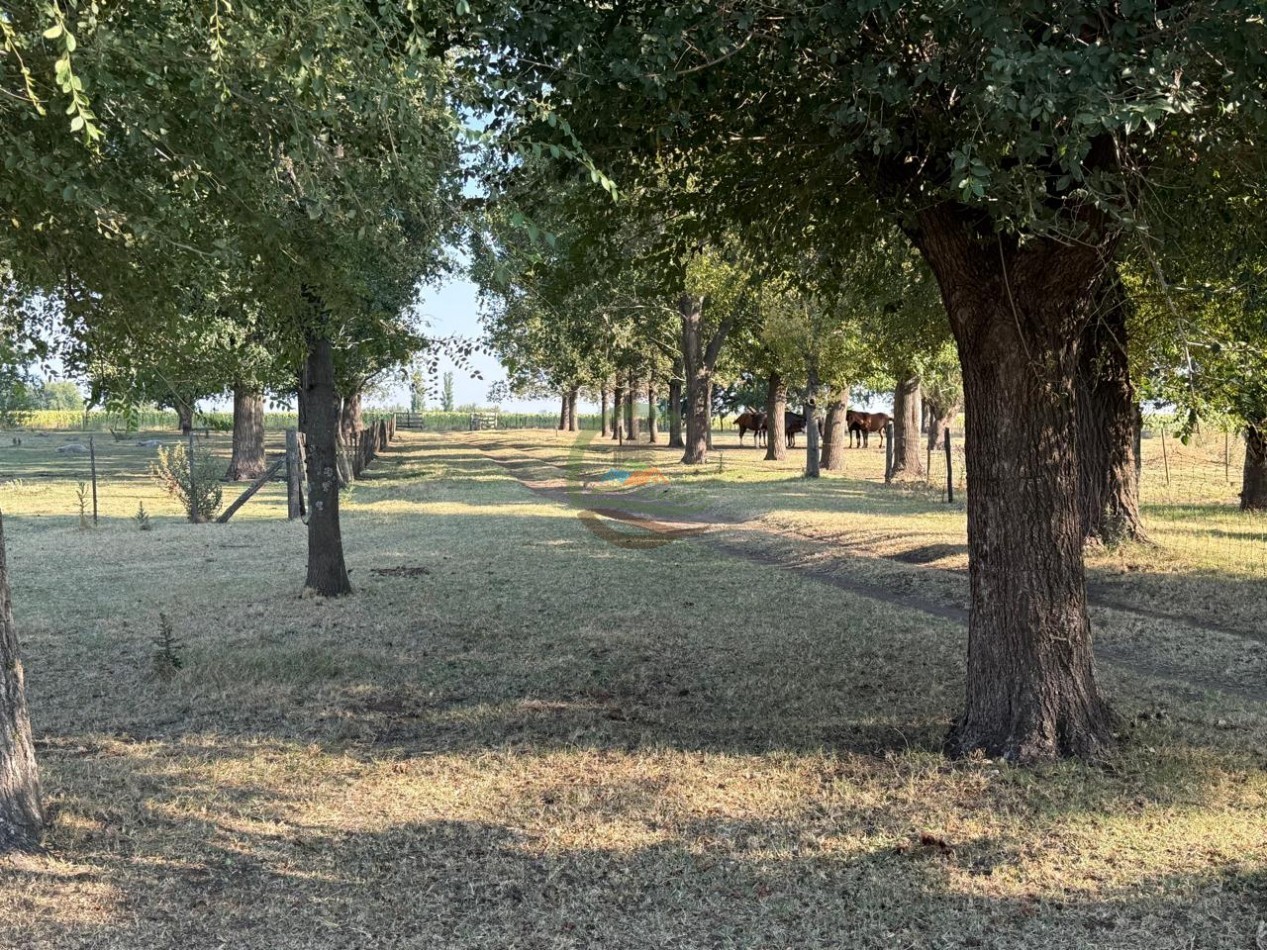 1698 ha Mixto - Paula - Bolivar