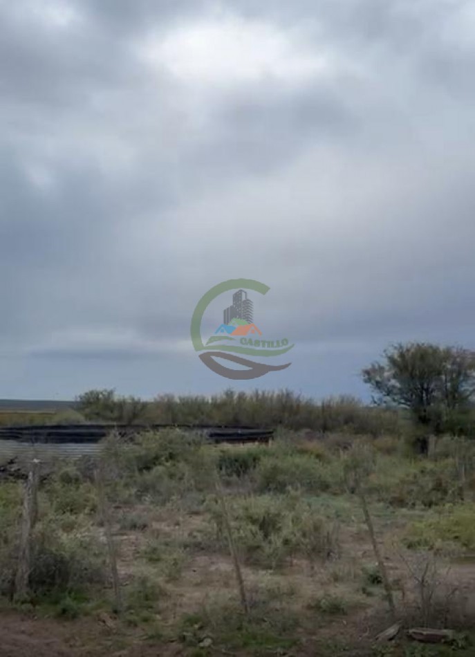 5117 Ha Ganadero - La Adela - La Pampa