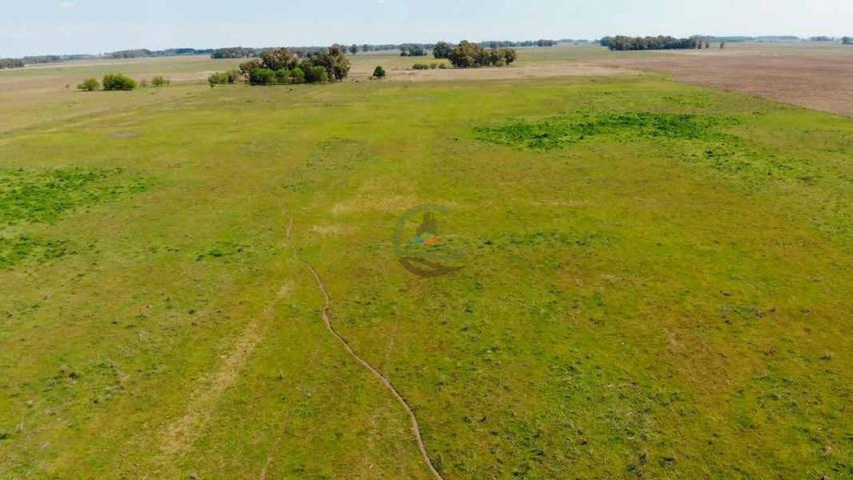 265 Ha Ganadero - Harosteguy - Las Flores