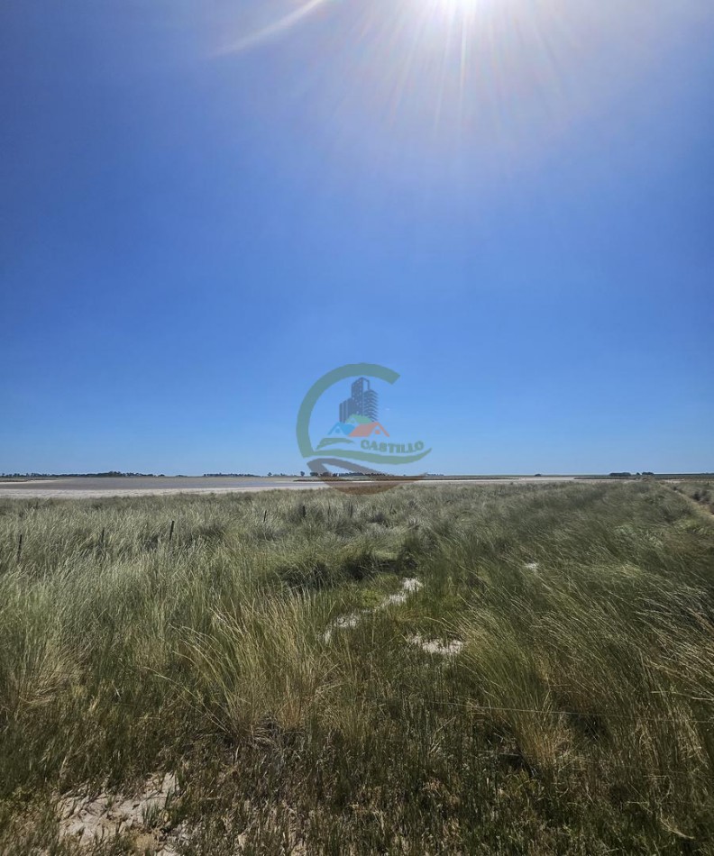 121 Ha Mixto - Martin Fierro - Trenque Lauquen