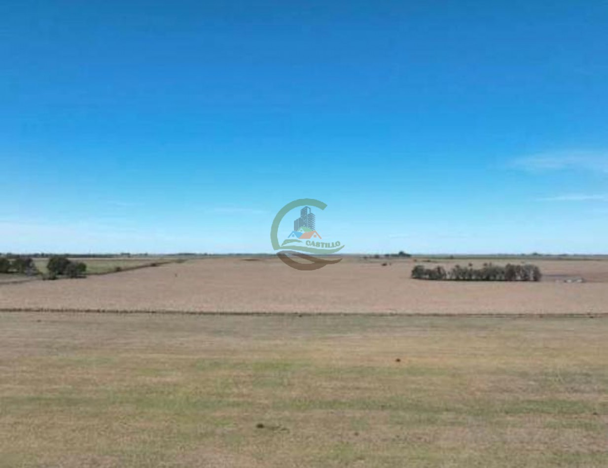 3780 Ha Mixto - Alpachiri - Guatrache - La Pampa