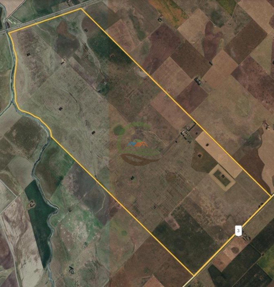 1003 Ha Mixtas - Tres Arroyos