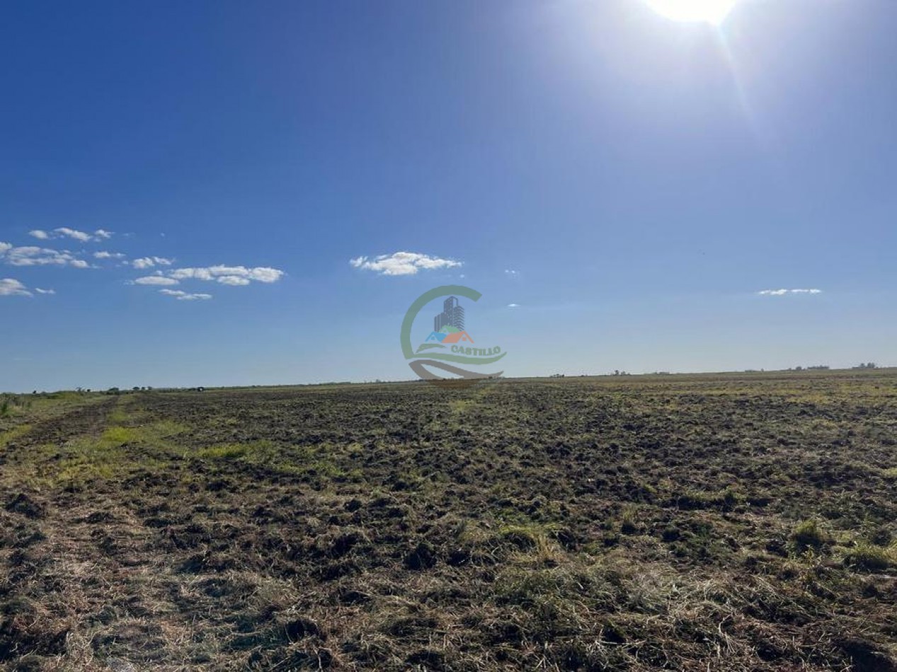 223 Ha Agricolas - El Florentino - Cordoba  
