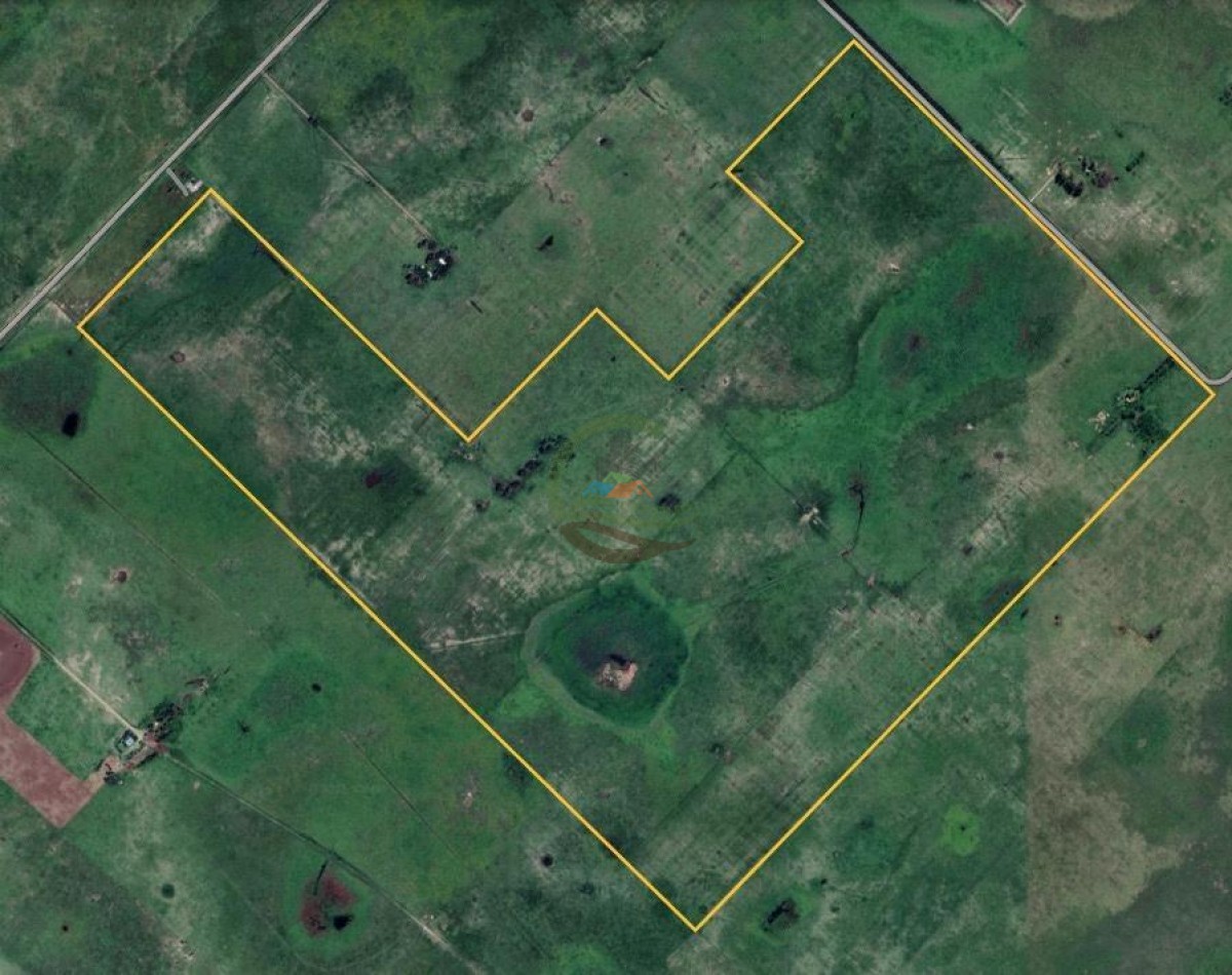286 Ha Ganadero - Cañuelas - Gdor Udaondo